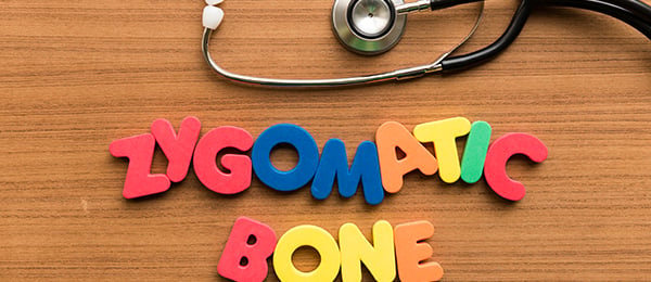 Zygomatic bone graphic